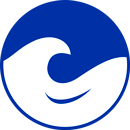 The blue icon with waves